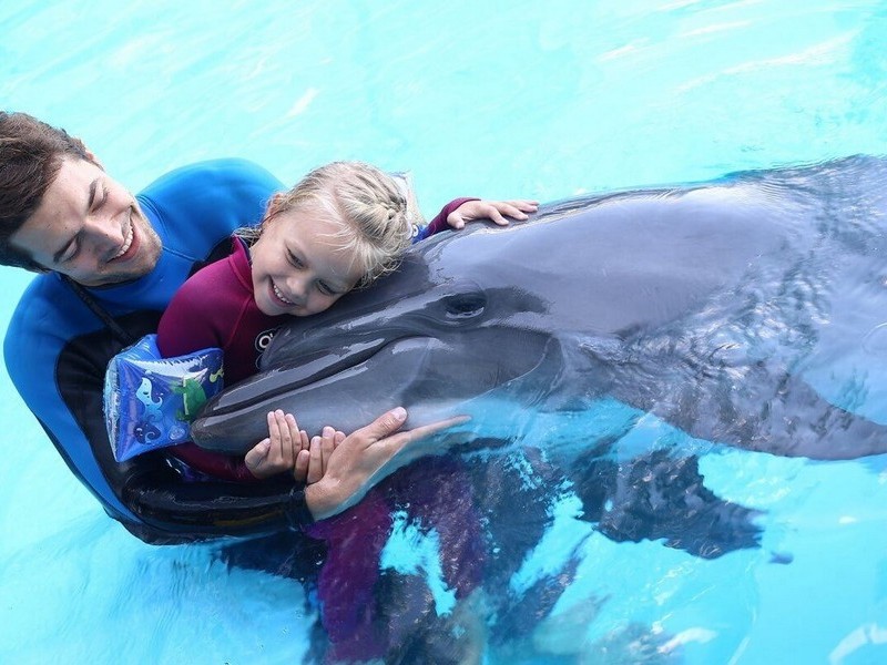 Обнимашки с дельфином